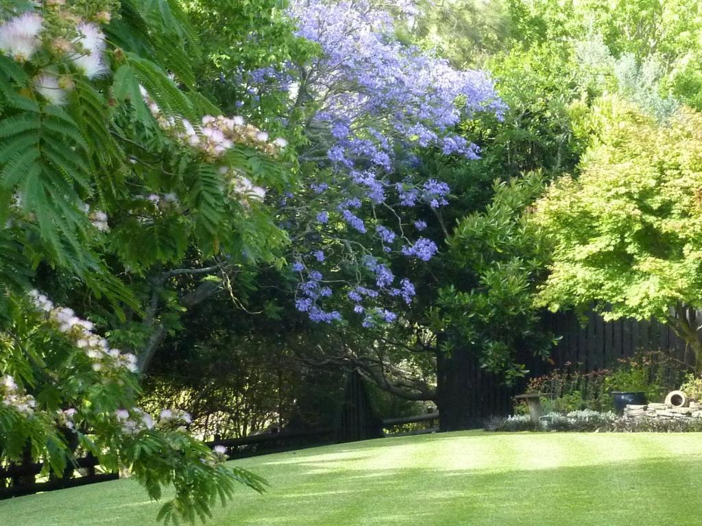 Thorold Country House Thames Exterior foto